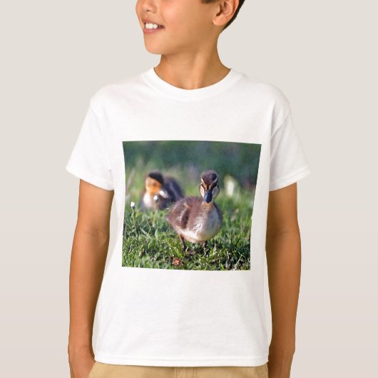 アクリング Tシャツ (正面)
