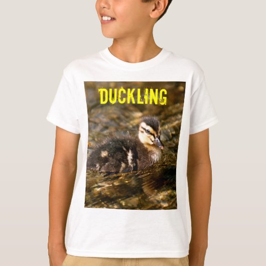 アクリング Tシャツ (正面)
