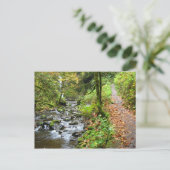 アクリーククール川 ポストカード (スタンド正面)