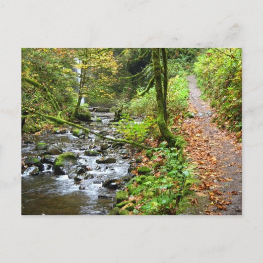 アクリーククール川 ポストカード (正面)