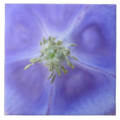 アクレジアフラワータイル タイル (正面)