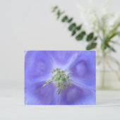 アクレジアフラワーポストカード ポストカード (スタンド正面)