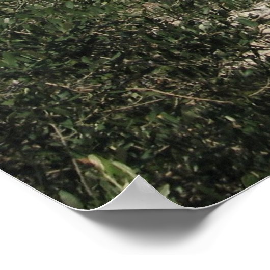 アクロポリス（ギリシャ） ポスター (角)