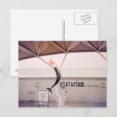 アクワタリウムセントピータービーチフロリダ州のポストカード ポストカード (正面/裏面)