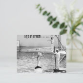 アクワタリウムセントピートビーチフロリダ, イルカ ポストカード (スタンド正面)