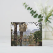 アグアカリエンテパークツーソンAz ポストカード (スタンド正面)