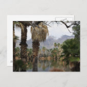 アグアカリエンテパークツーソンAz ポストカード (正面/裏面)