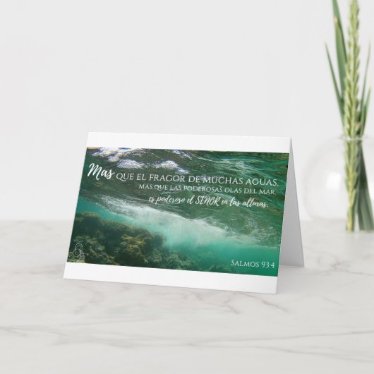 アグアスアンティグアスタルジェタサルモス93:4 カード (正面)