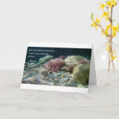 アグアスアンティグアスタルジェタ-ジョブ38:16 カード (黄色い花)