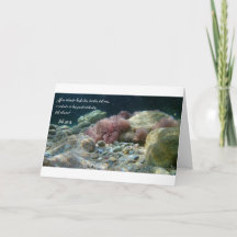 アグアスアンティグアスタルジェタ-ジョブ38:16