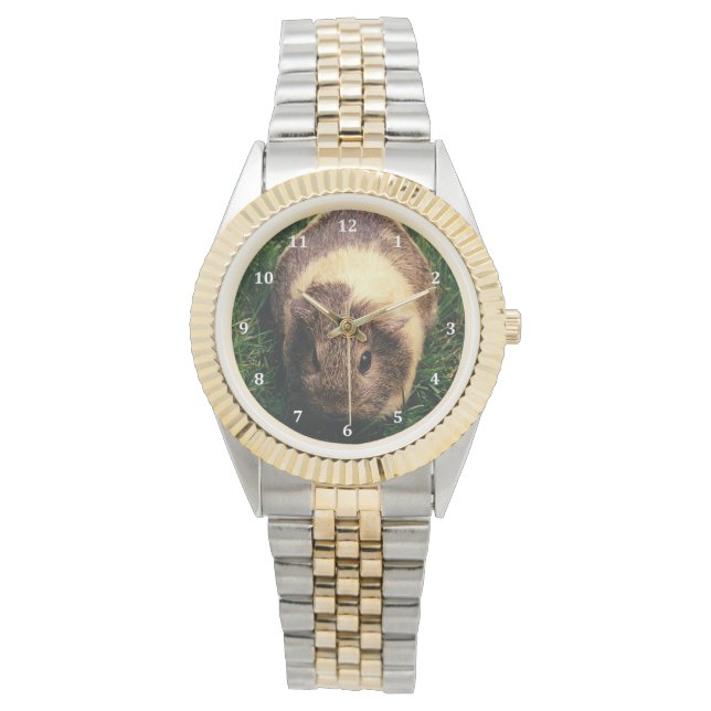 アグティ・モルモット・イン・ザ・グラス 腕時計 (正面)