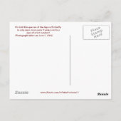 アグナバタフライ葉書#2 ポストカード (裏面)