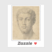 アグノロブロンジノ – 男の頭 シール (シート)