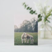 アグノー ポストカード (スタンド正面)