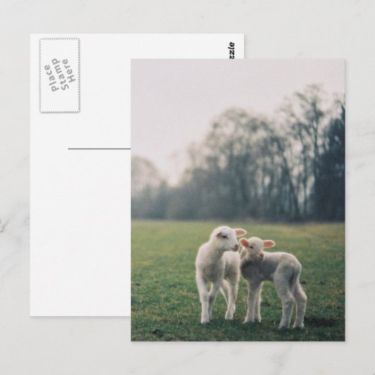 アグノー ポストカード (正面/裏面)