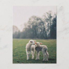 アグノー ポストカード