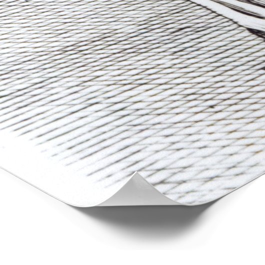 アグリピナ， c.1653 ポスター (角)