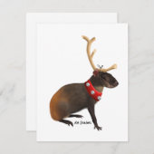 アグーチ - ホリデーカード (正面/裏面)