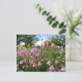 アケレイエンウィーズウンターアフェルバメン ポストカード (スタンド正面)