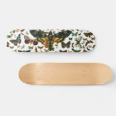 アケロントラ残虐行為 スケートボード (横)