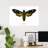 アケロントラ残虐行為 ポスター (ホームオフィス)