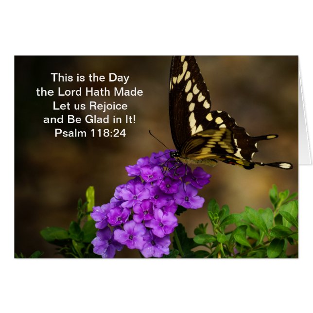 アゲハチョウの蝶 (正面横)