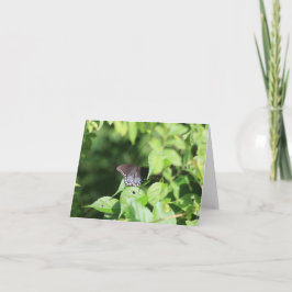 アゲハチョウノートカードの非表示 サンキューカード