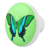 アゲハチョウバタフライイングリーン、ターコイズ&ブラック セラミックノブ (右)