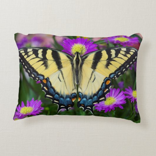 アゲハチョウバタフライオンデイジー アクセントクッション (裏面)