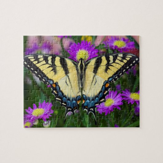 アゲハチョウバタフライオンデイジー ジグソーパズル (横)