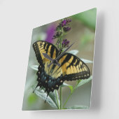 アゲハチョウバタフライクロック スクエア壁時計 (傾斜)