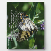 アゲハチョウバタフライフラワーバイブル写真プラーク フォトプラーク (正面)