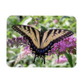 アゲハチョウバタフライ磁石 マグネット (横)