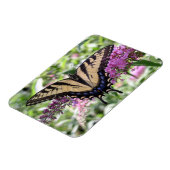 アゲハチョウバタフライ磁石 マグネット (左側)