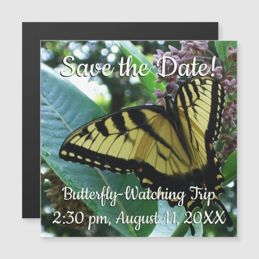 アゲハチョウバタフライIオンミルクウィードアットシェナンドア (正面/裏面)