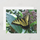 アゲハチョウバタフライIオンミルクウィードアットシェナンドア (正面/裏面)