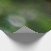 アゲハチョウバタフライIオンミルクウィードアットシェナンドア ウッドポスター (コーナー)