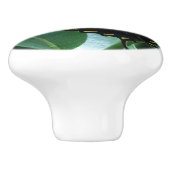 アゲハチョウバタフライIオンミルクウィードアットシェナンドア セラミックノブ (側面)