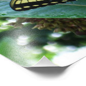 アゲハチョウバタフライIオンミルクウィードアットシェナンドア フォトプリント (角)