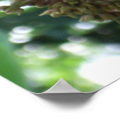 アゲハチョウバタフライIオンミルクウィードアットシェナンドア ポスター (角)