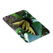 アゲハチョウバタフライIオンミルクウィードアットシェナンドア マグネット (右側)