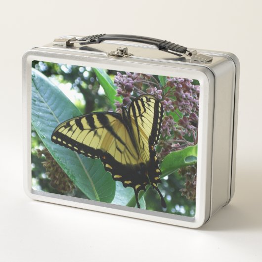 アゲハチョウバタフライIオンミルクウィードアットシェナンドア メタルランチボックス (正面)