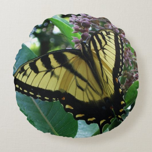 アゲハチョウバタフライIオンミルクウィードアットシェナンドア ラウンドクッション (正面)