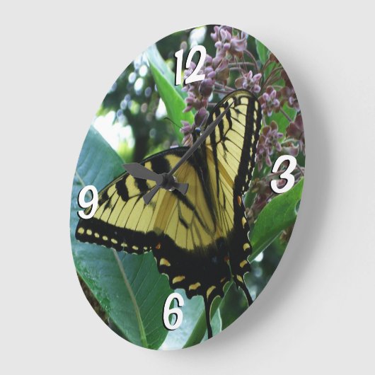 アゲハチョウバタフライIオンミルクウィードアットシェナンドア ラージ壁時計 (傾斜)