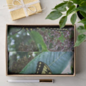 アゲハチョウバタフライIオンミルクウィードアットシェナンドア 薄葉紙 (ギフト)