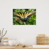 アゲハチョウバタフライIIアットシェナンドア ポスター (キッチン)