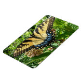 アゲハチョウバタフライIIアットシェナンドア マグネット (左側)