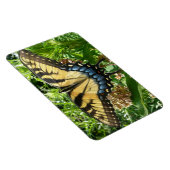 アゲハチョウバタフライIIアットシェナンドア マグネット (右側)