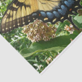 アゲハチョウバタフライIIアットシェナンドア 薄葉紙 (詳細)