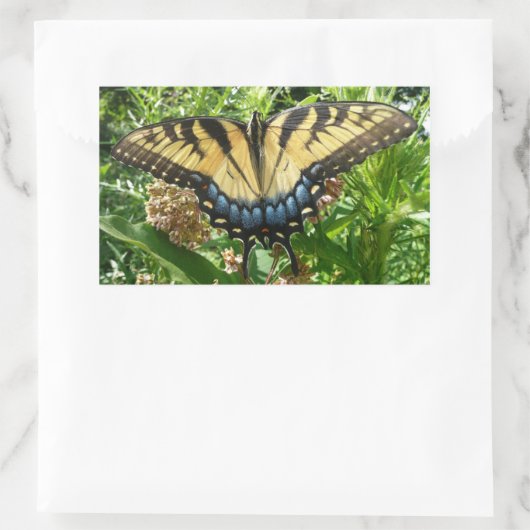 アゲハチョウバタフライIIアットシェナンドア 長方形シール (バッグ)